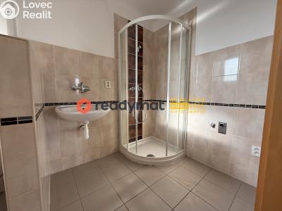 Prodej vícegeneračního domu Bzenec č. 6