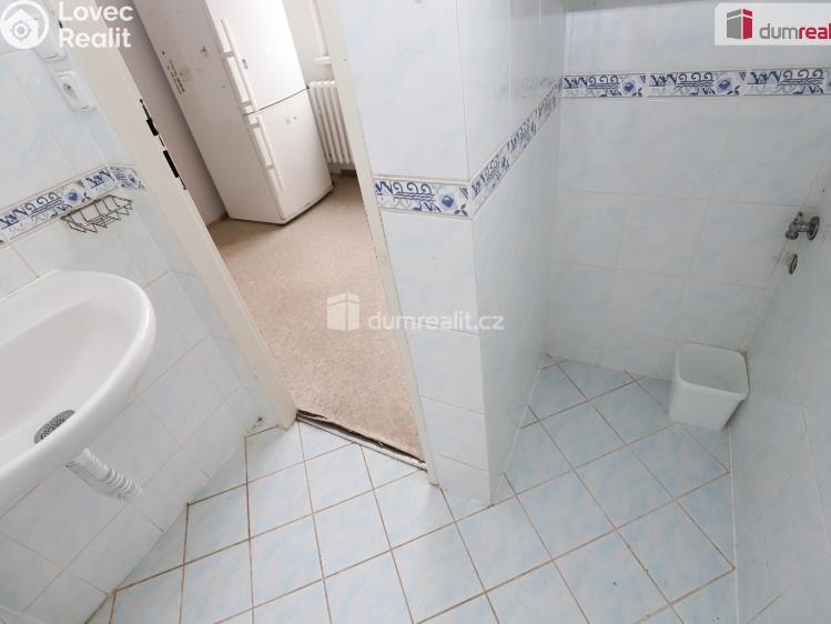 Pronájem bytu 3+1 Cheb, Lesní č. 12