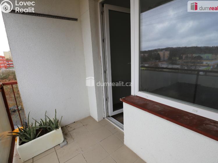 Pronájem bytu 3+1 Cheb, Lesní č. 14