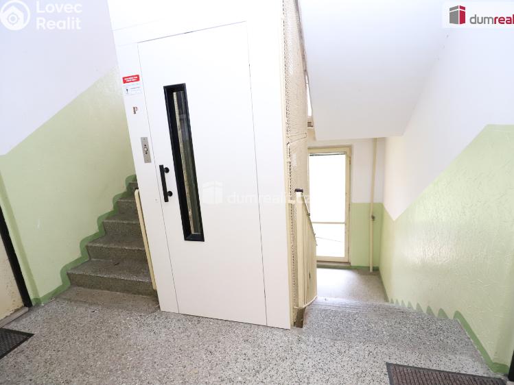 Pronájem bytu 3+1 Cheb, Lesní č. 16