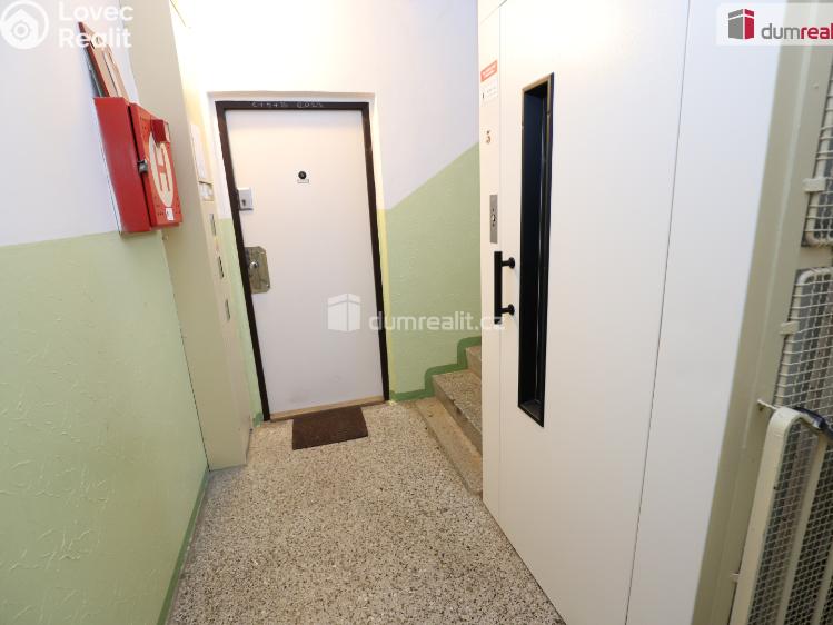 Pronájem bytu 3+1 Cheb, Lesní č. 17