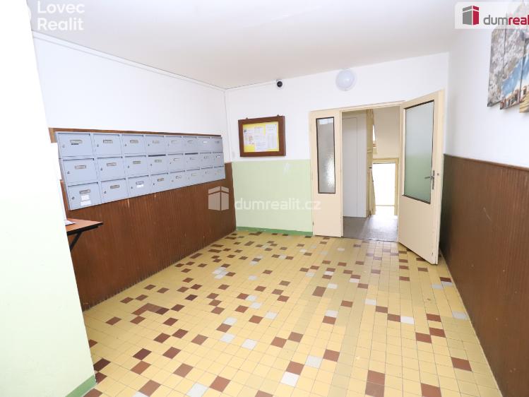 Pronájem bytu 3+1 Cheb, Lesní č. 18