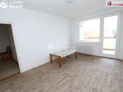 Pronájem bytu 3+1 Cheb, Lesní č. 1