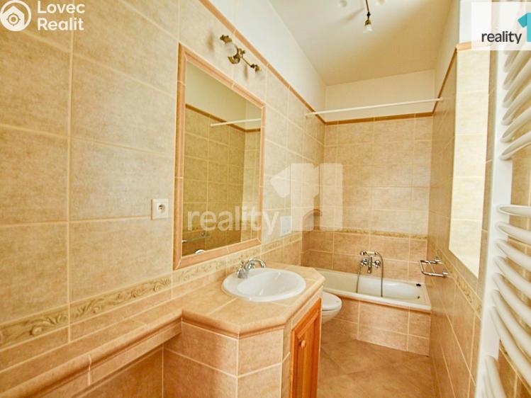 Pronájem bytu 2+1 Liberec, Barvířská č. 17