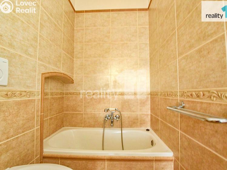 Pronájem bytu 2+1 Liberec, Barvířská č. 19