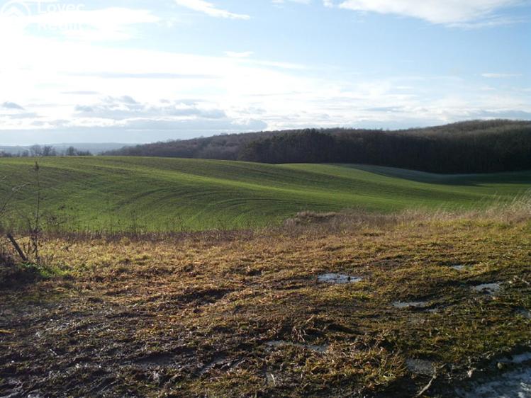 Prodej rodinného domu Prusy-Boškůvky č. 31