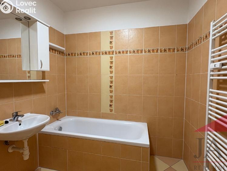 Продажа квартиры 3+1 Sušice, Kaštanová 1257 č. 7