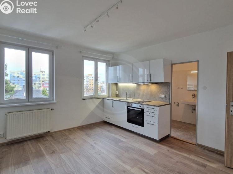 Pronájem bytu 1+1 České Budějovice, Fráni Šrámka 1170/31 č. 1