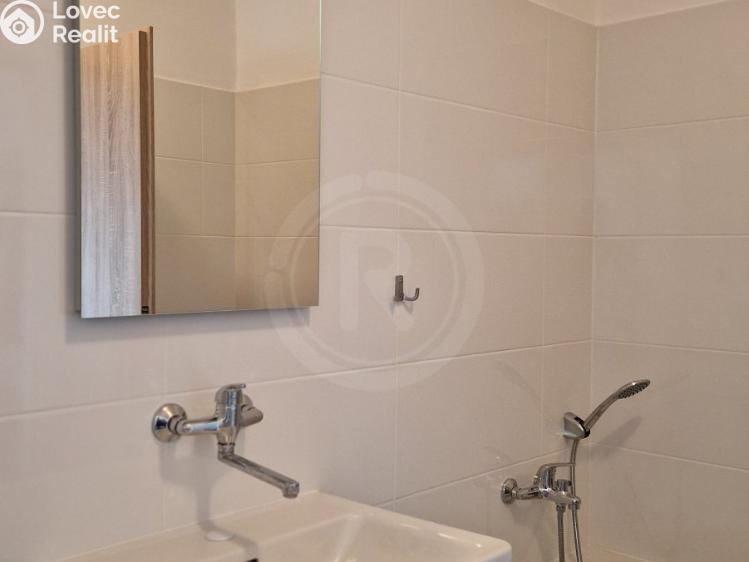 Pronájem bytu 1+1 České Budějovice, Fráni Šrámka 1170/31 č. 7