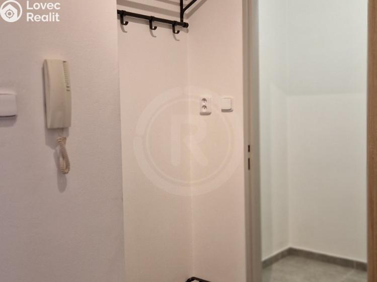 Pronájem bytu 1+1 České Budějovice, Fráni Šrámka 1170/31 č. 11