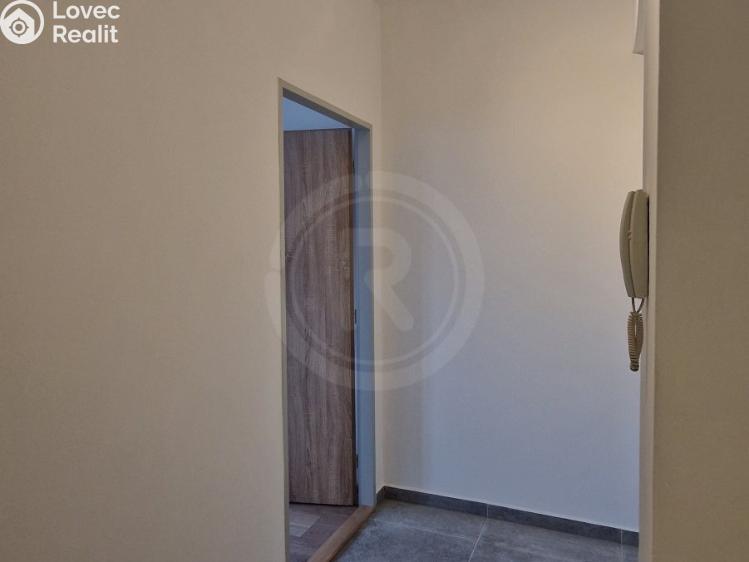 Pronájem bytu 1+1 České Budějovice, Fráni Šrámka 1170/31 č. 12