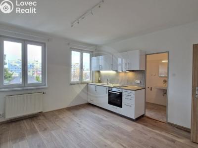 Pronájem bytu 1+1 České Budějovice, Fráni Šrámka č. 1