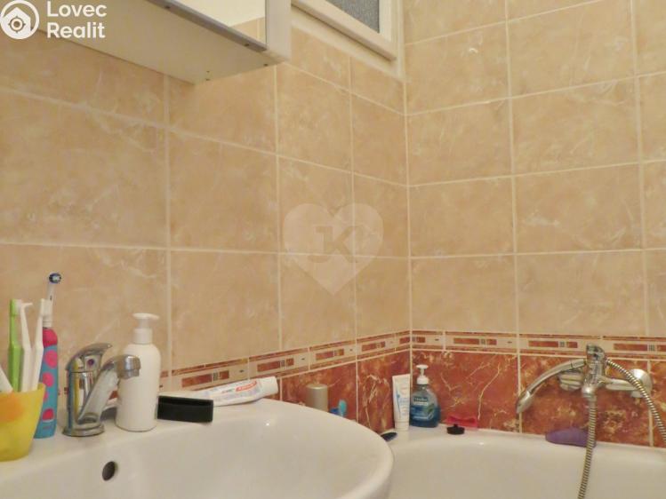 Pronájem bytu 1+1 Praha, Heřmanova č. 12