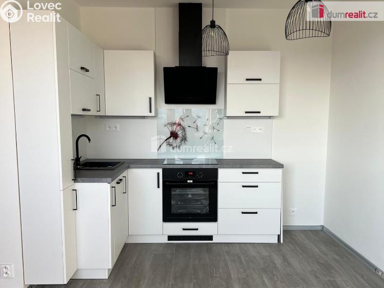 Pronájem bytu 2+KK Ostrov, Lidická č. 2