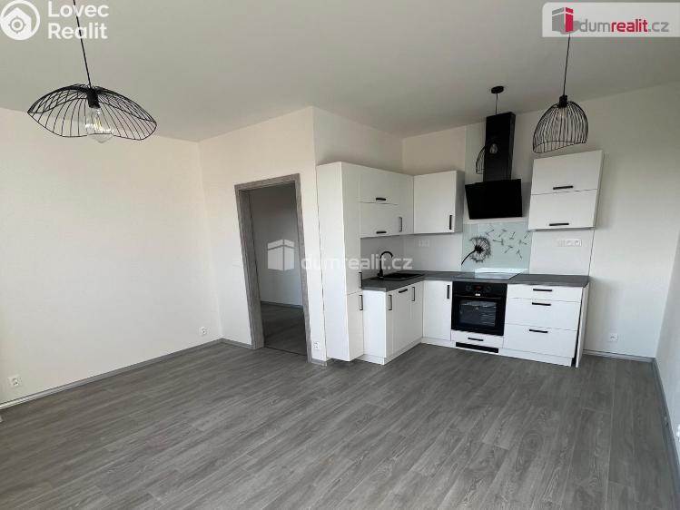 Pronájem bytu 2+KK Ostrov, Lidická č. 3