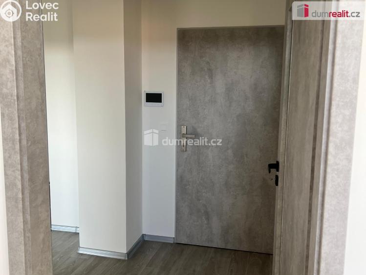 Pronájem bytu 2+KK Ostrov, Lidická č. 7