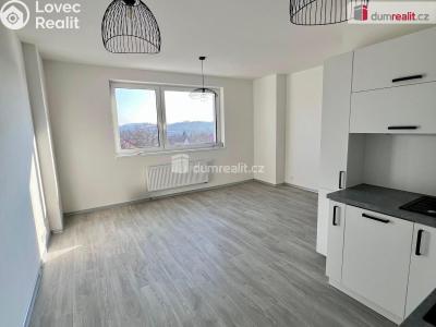 Pronájem bytu 2+KK Ostrov, Lidická č. 4
