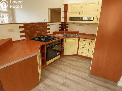 Продажа квартиры 3+KK Karlovy Vary, Vítězná č. 3