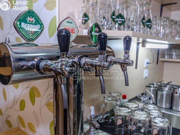Pronájem restaurace Praha, Theinova 996/2 č. 11