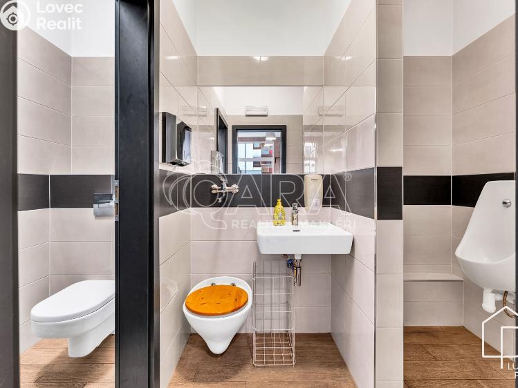 Pronájem restaurace Praha, Theinova 996/2 č. 8