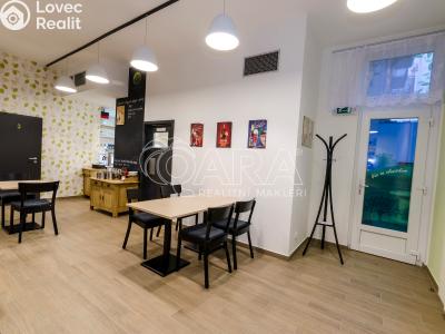 Pronájem restaurace Praha, Theinova č. 4