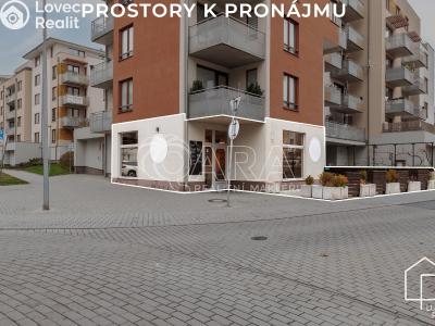 Оренда ресторану Praha, Theinova č. 3