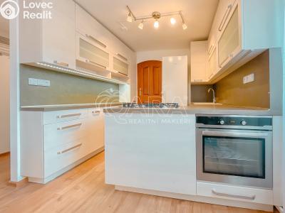 Pronájem bytu 4+KK Příbor, Místecká č. 5