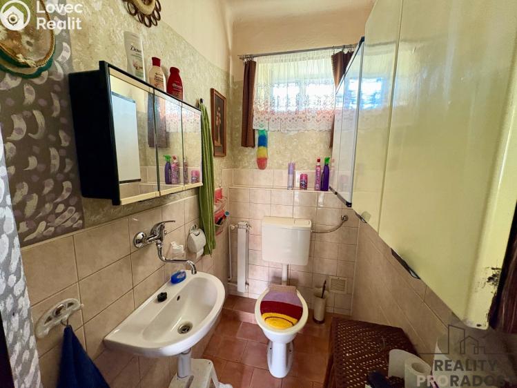 Продаж сімейного будинку Přílepy č. 4