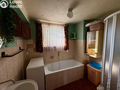 Продаж сімейного будинку Přílepy č. 3