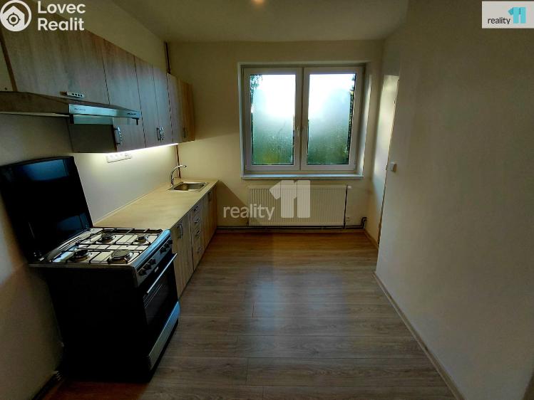 Pronájem bytu 2+1 Aš, Anglická č. 1