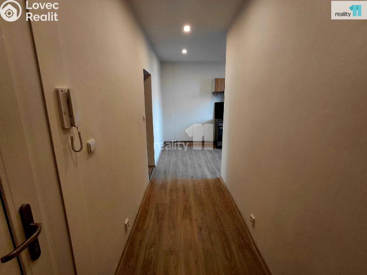 Pronájem bytu 2+1 Aš, Anglická č. 5