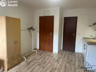 Pronájem bytu 1+KK Znojmo, U Branky č. 3