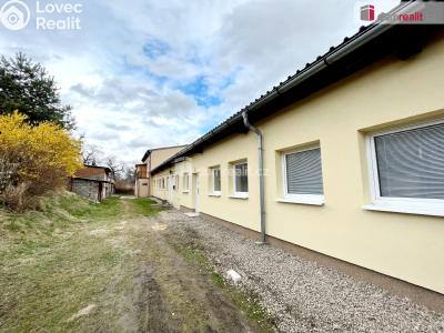 Pronájem bytu 1+KK Kačice, K zahradě č. 1