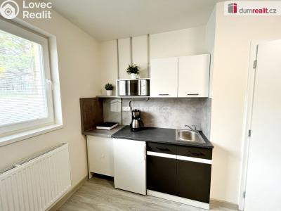 Pronájem bytu 1+KK Kačice, K zahradě č. 5