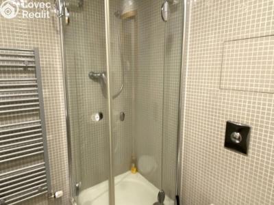 Pronájem bytu 1+KK Praha, Korunní č. 4