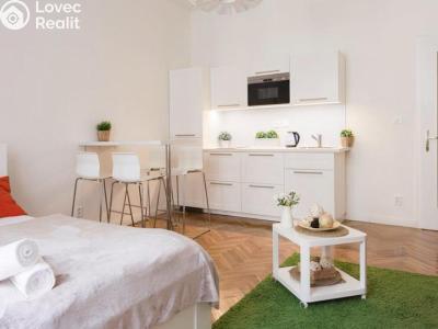 Pronájem bytu 1+KK Praha, Šimáčkova č. 1