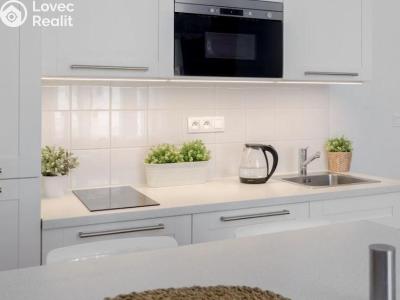 Pronájem bytu 1+KK Praha, Šimáčkova č. 3