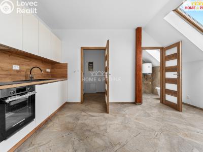 Pronájem bytu 2+KK Chrášťany č. 6