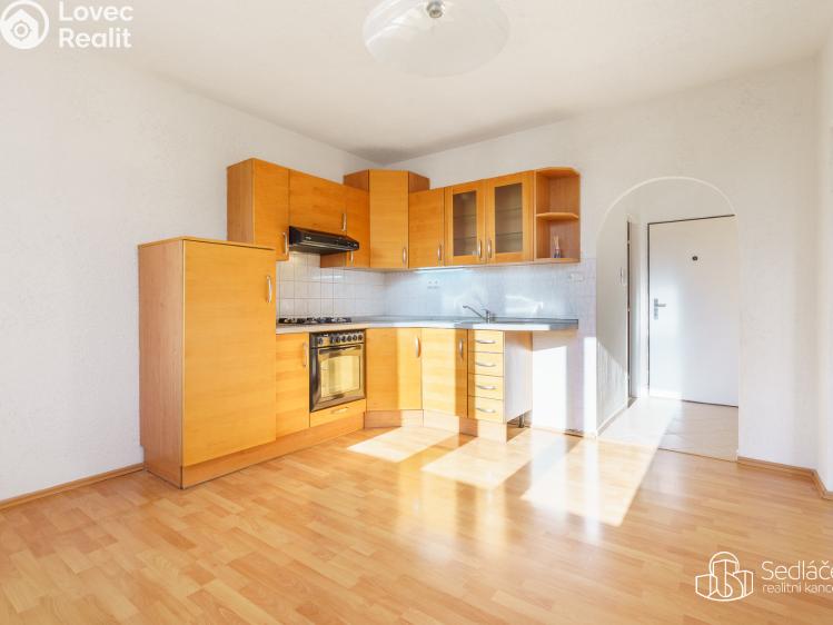 Prodej bytu 1+1 Nové Sedlo, Revoluční č. 2