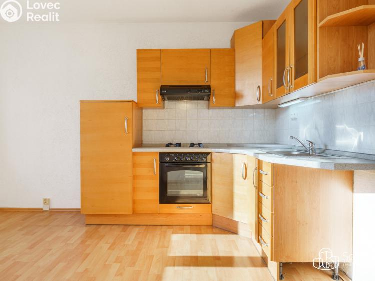 Prodej bytu 1+1 Nové Sedlo, Revoluční č. 3