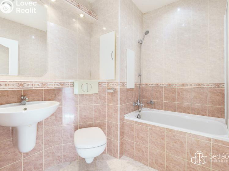 Prodej bytu 1+1 Nové Sedlo, Revoluční č. 4