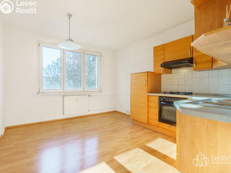 Prodej bytu 1+1 Nové Sedlo, Revoluční č. 8