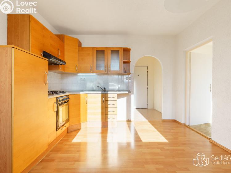 Prodej bytu 1+1 Nové Sedlo, Revoluční č. 9