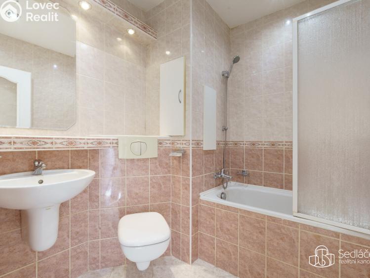 Prodej bytu 1+1 Nové Sedlo, Revoluční č. 6