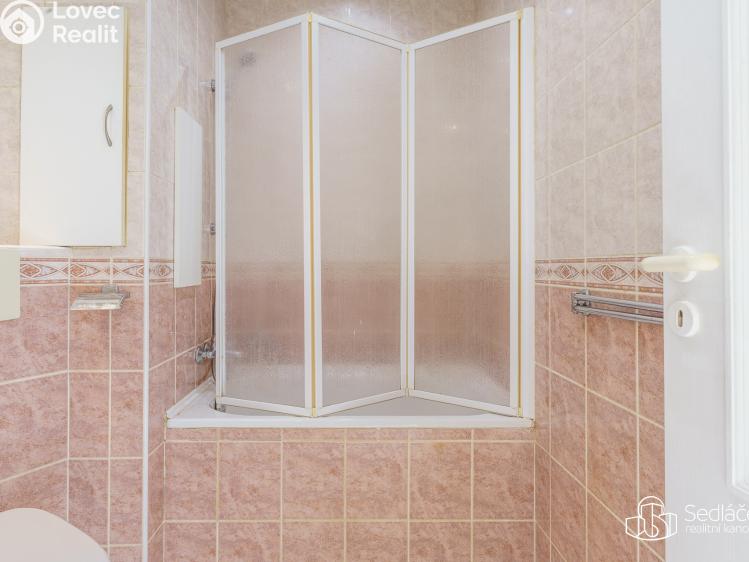 Prodej bytu 1+1 Nové Sedlo, Revoluční č. 8