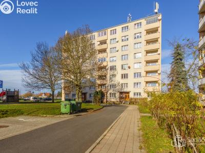 Prodej bytu 1+1 Nové Sedlo, Revoluční č. 1