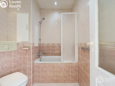 Prodej bytu 1+1 Nové Sedlo, Revoluční č. 6