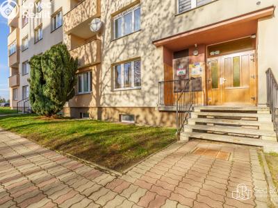 Prodej bytu 1+1 Nové Sedlo, Revoluční č. 1