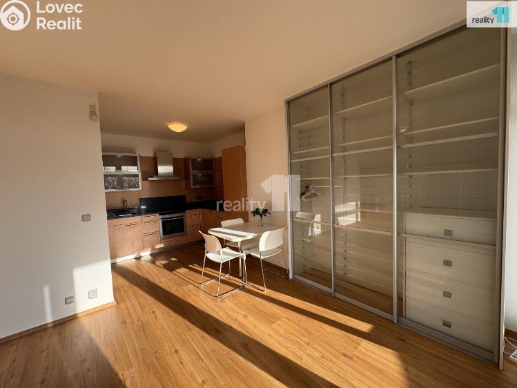 Pronájem bytu 1+KK Praha 8, Nad Okrouhlíkem č. 5