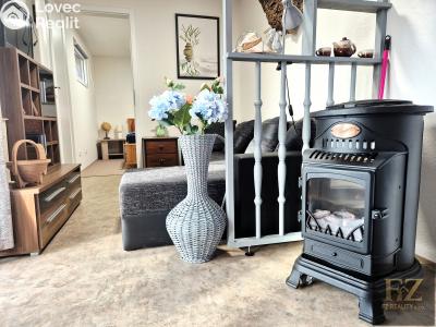 Продажа семейного дома Planá nad Lužnicí č. 6